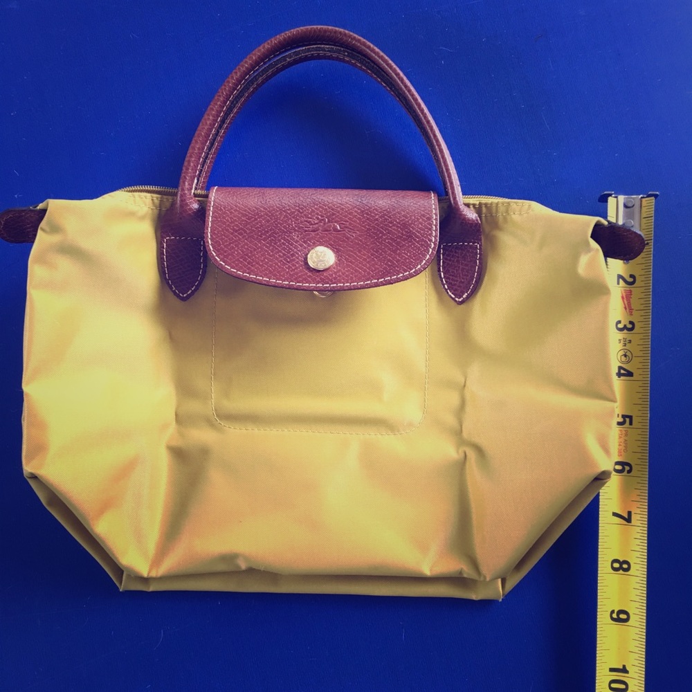 Longchamp tote